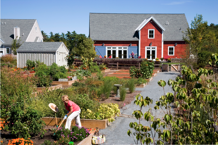 Victory Gardens